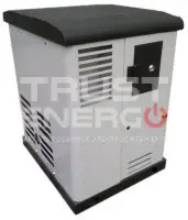 Газовый генератор REG GG14-380SV с АВР
