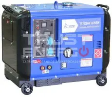 Сварочный генератор ТСС PRO DGW 3.0/250ES-R В кожухе TSS 192F trustenergo.ru