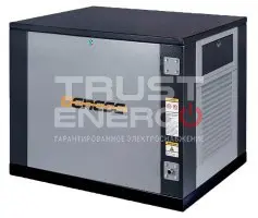 Газовый генератор Genese Standard 8500 Neva кожухе В кожухе LC2V78FD-1 trustenergo.ru Газовый генератор Genese Standard 8500 Neva кожухе В кожухе LC2V78FD-1 trustenergo.ru